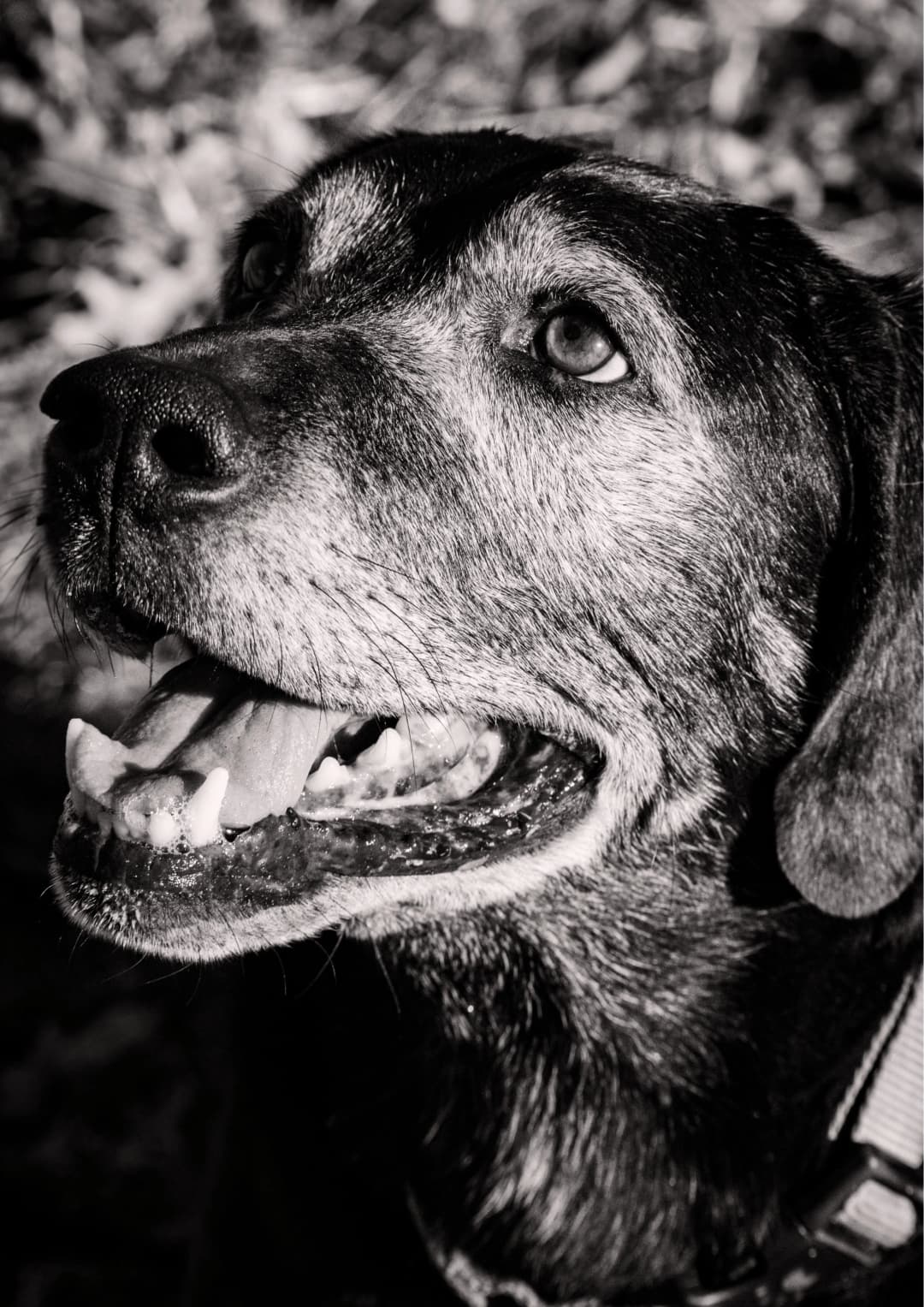 portfolio4